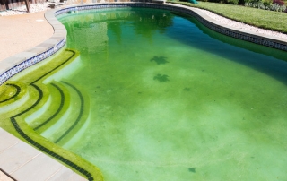 Pool Green