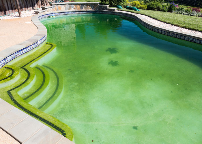 Professional Pool Tile Cleaning, Glass Bead Pool Tile Cleaning Las Vegas